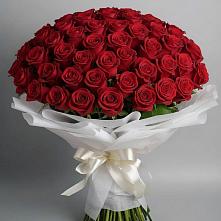 Букет 101 Красная роза Блэк Мэджик в Подтёсово