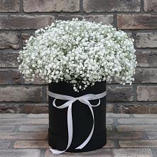 Цветочная композиция из Гипсофила в шляпной коробке в Подтёсово